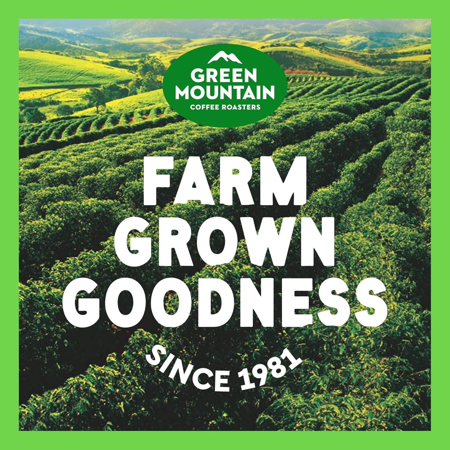 Green Mountain Coffee Nantucket Blend Keurig Single-Serve K-Cup Pods, Medium Roast Coffee - Image 3