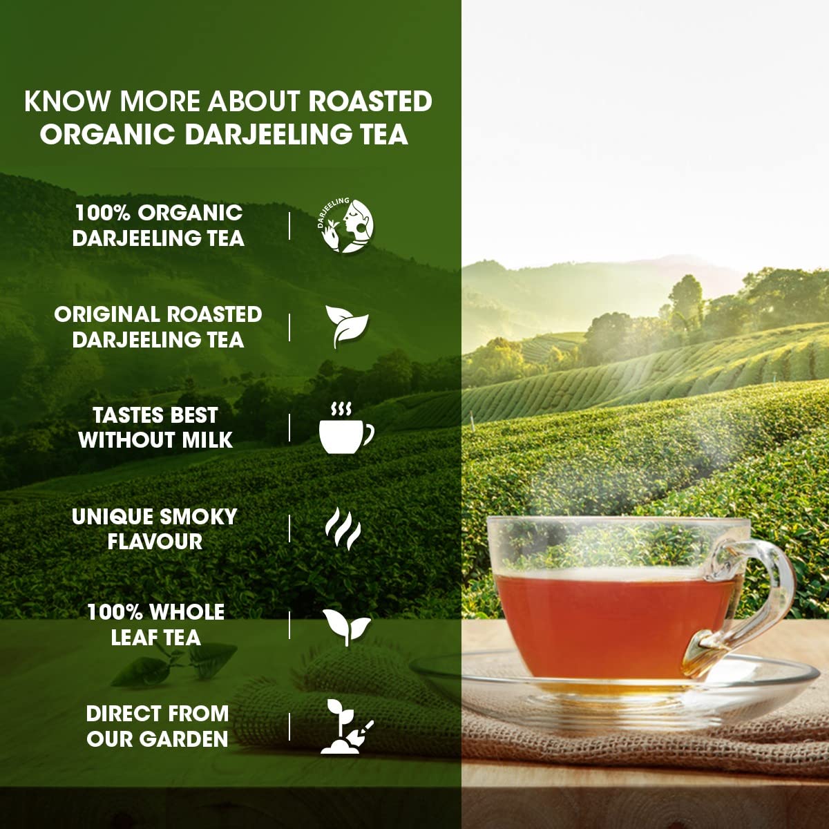 Goodricke Roasted Organic Darjeeling Tea-250 gm - Image 4