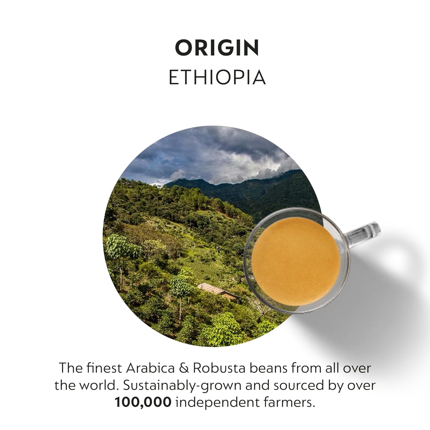 Nespresso Capsules Original Line, Ethiopia Master Origin,Mild Roast Coffee - Image 3